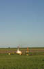 Warloc - Dave Towers_01